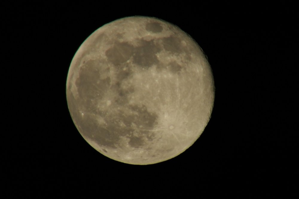 DSCF0604.JPG