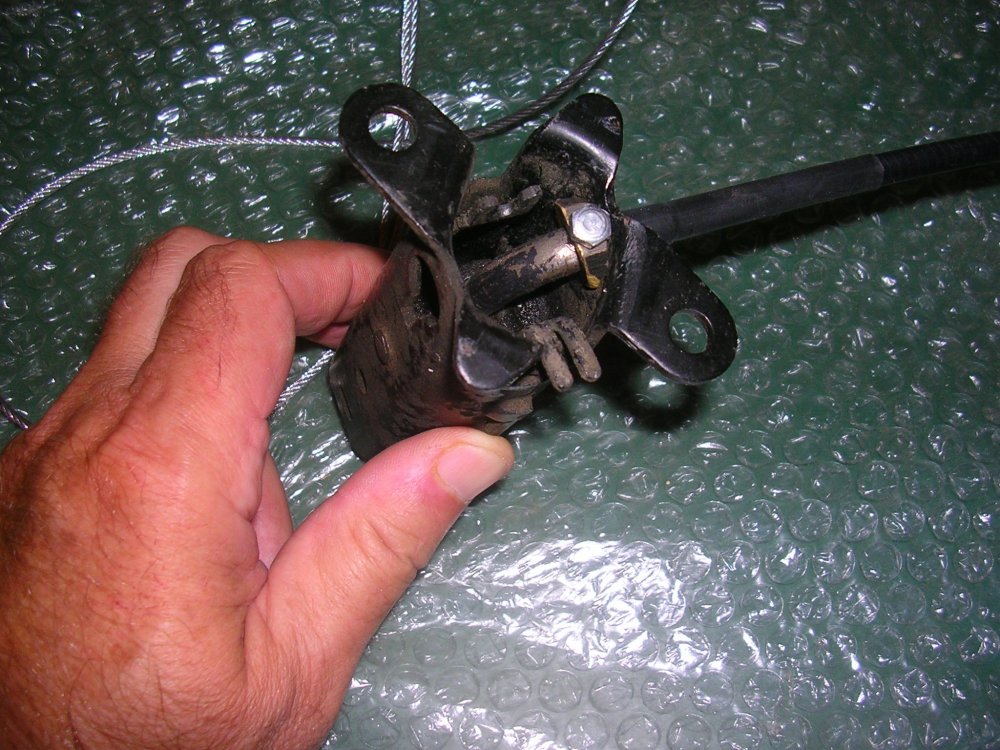DSCN9808.JPG