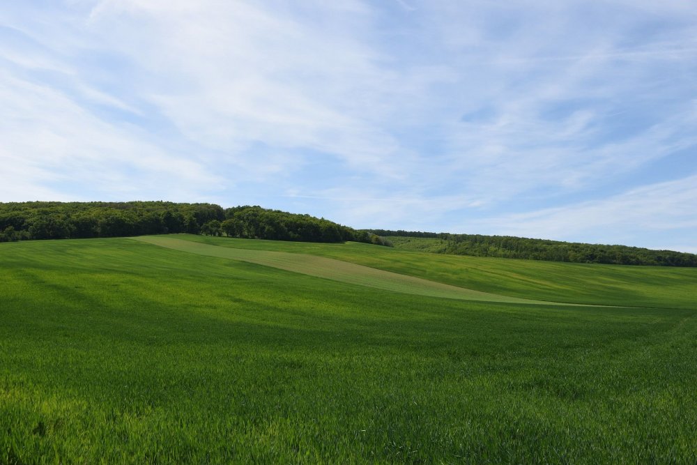 DSC_0719.jpg
