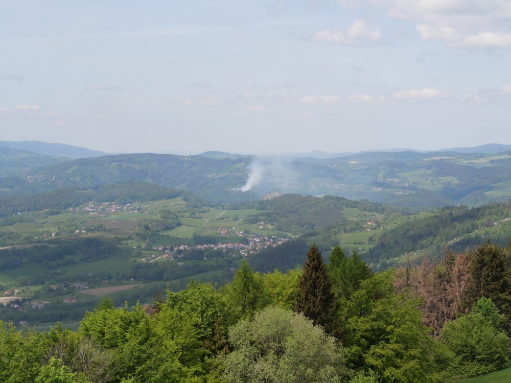 P1002487.JPG