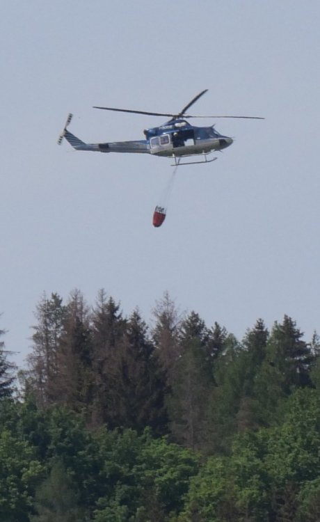 P1002581_cr.jpg