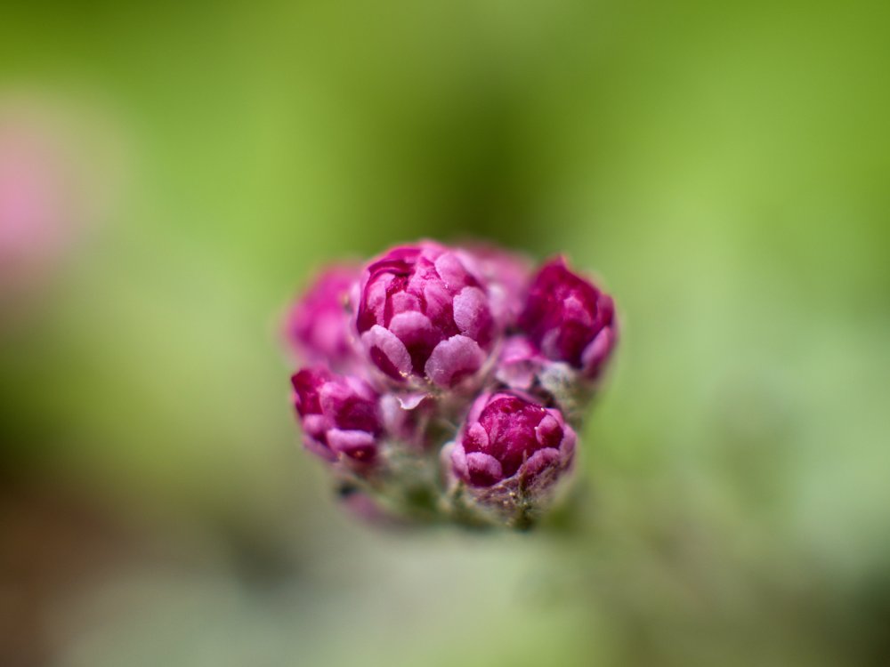 P1002653.jpg