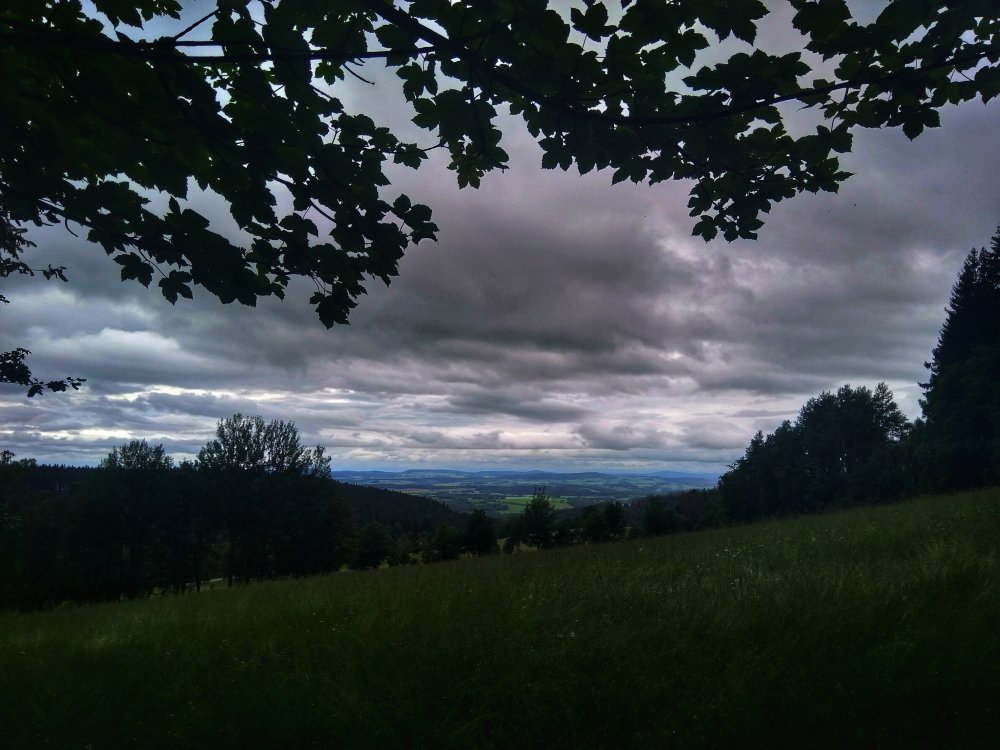 IMG_20200621_135709-01.jpeg