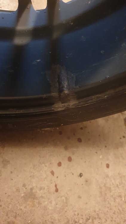 20200802_150145.jpg