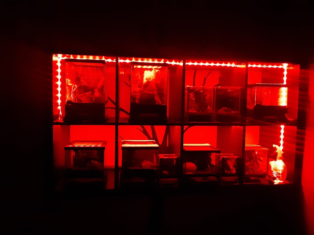 20200927_192835.jpg