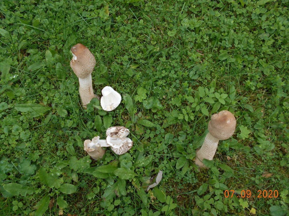 DSCN1876.JPG