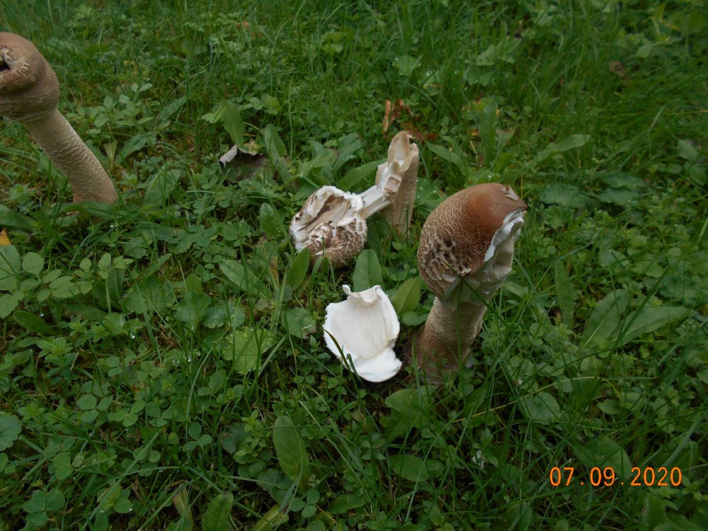 DSCN1877.JPG