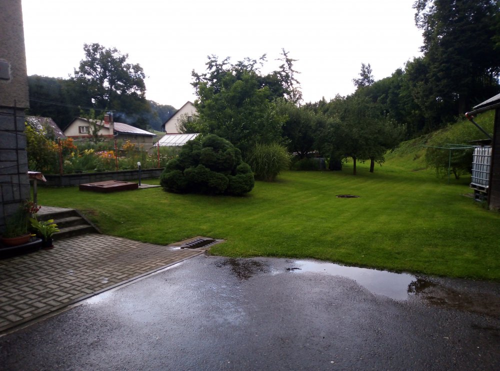 IMG_20200905_174533.jpg