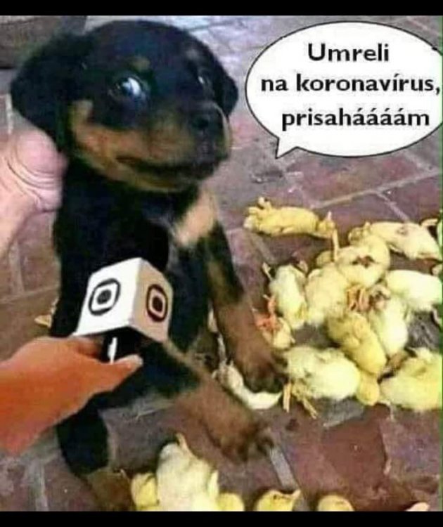Já nic, já muzikant.jpg