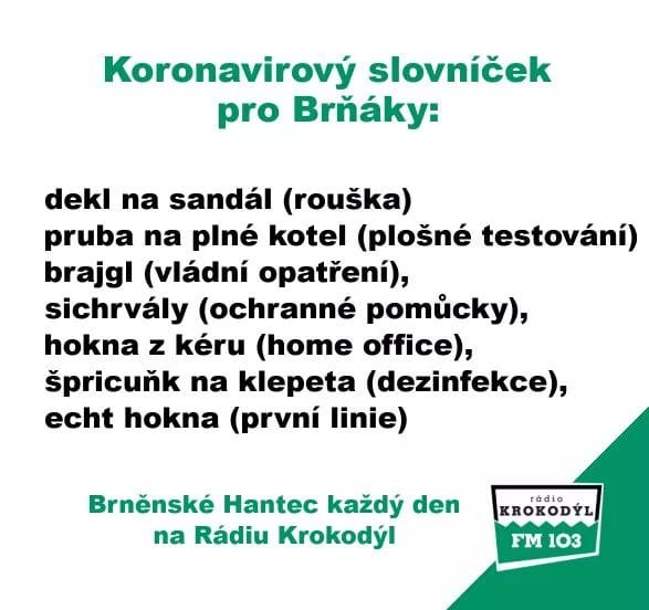 87008893-a597-4fa3-9335-951928d736b5.jpg.abb37c13090dfa76fb104f1d1c996b3e.jpg