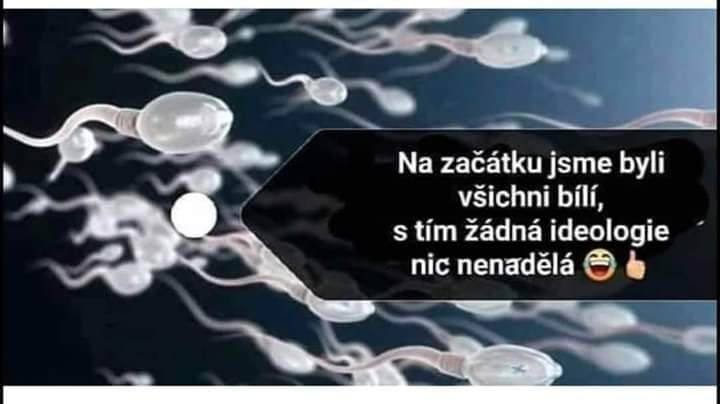 image.jpeg.9997738744a7032fdda6222587f94ba0.jpeg