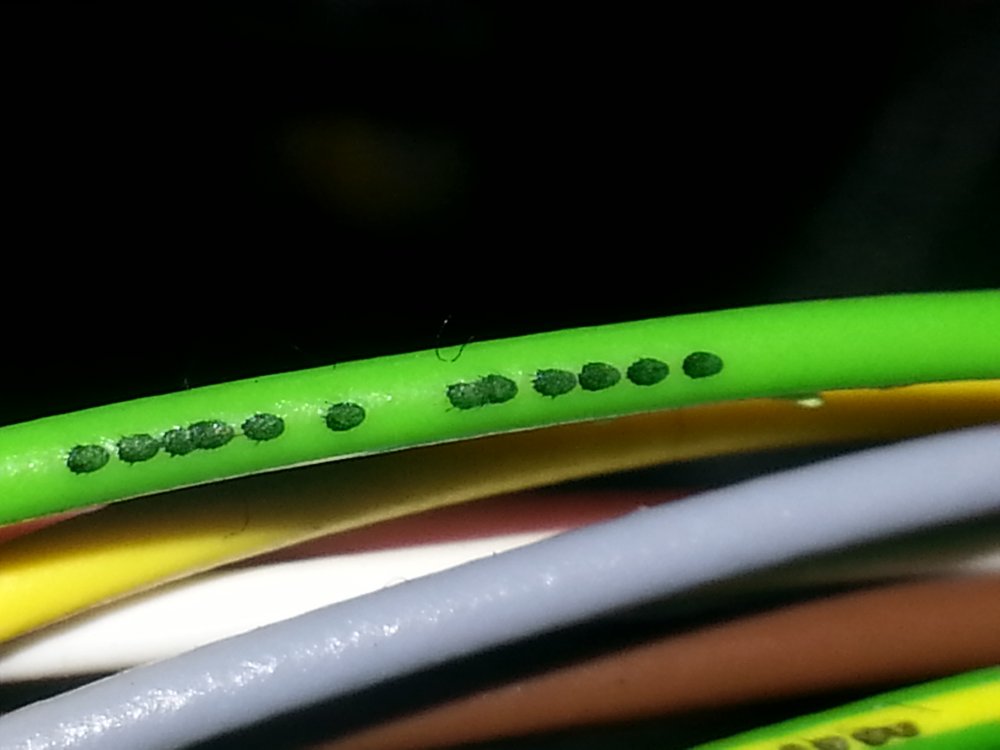 20201117_193127.jpg