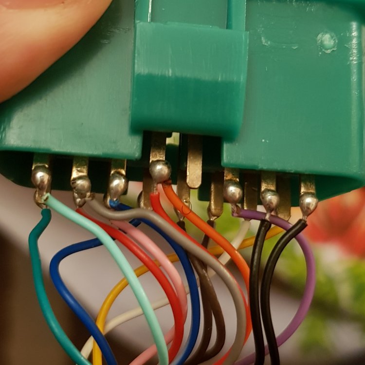 20201231_193806.jpg