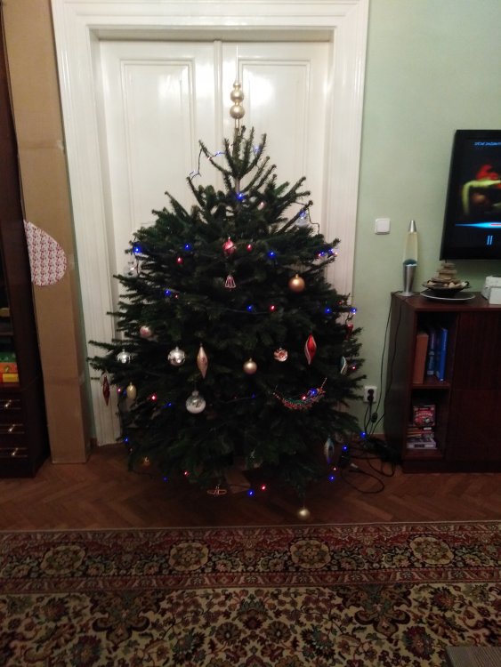 IMG_20201223_162202.jpg