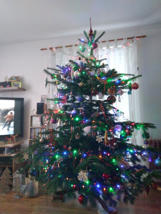 IMG_20201224_102446.jpg