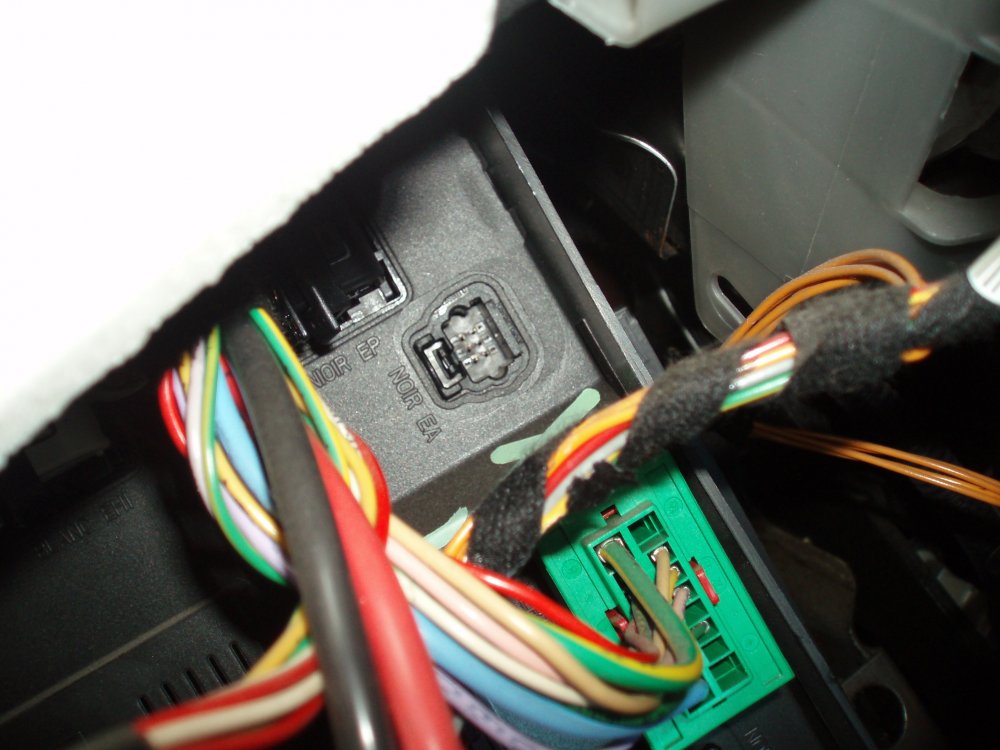 P1013053.JPG