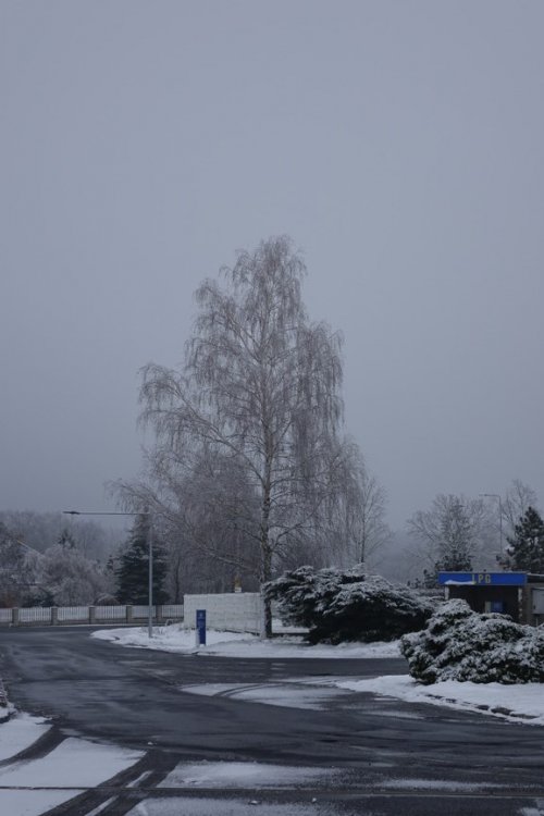 DSC08274.JPG