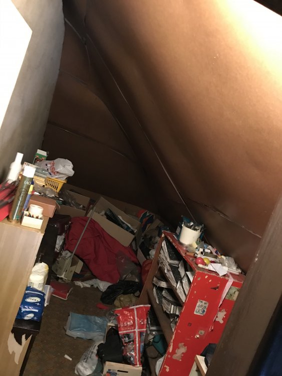 E72944EB-CA9A-4F64-B855-64B77EDD9426.jpeg