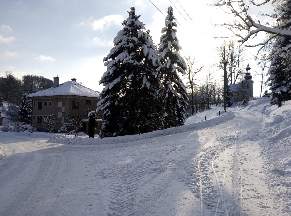 IMG_20210117_105725.jpg
