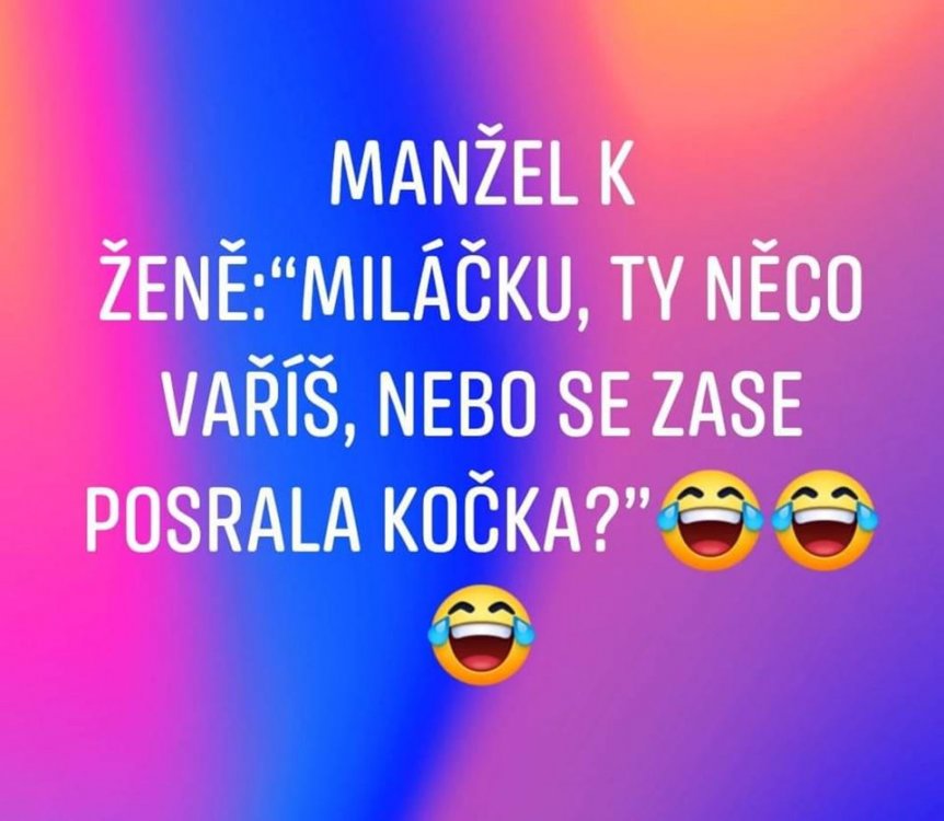 VaE_C-E!.jpg