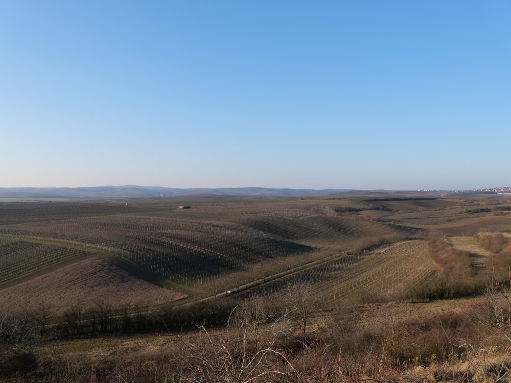 P1001182.JPG