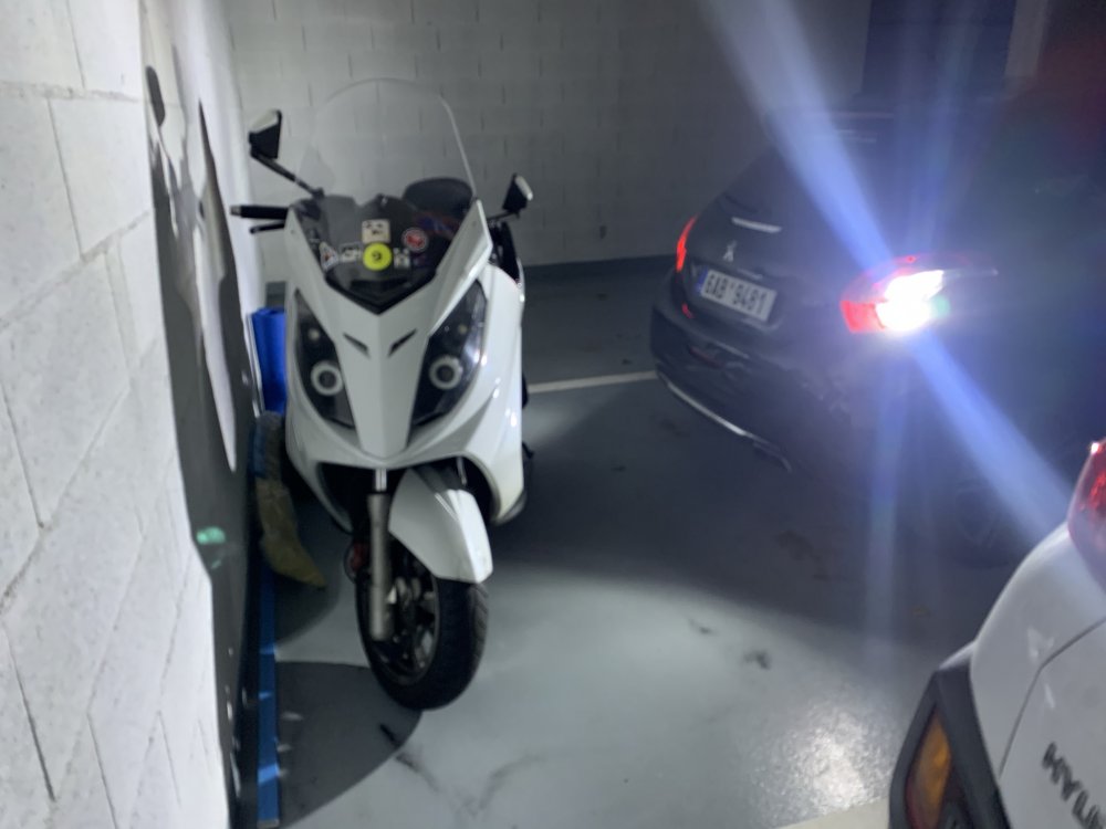 IMG_0397.JPEG