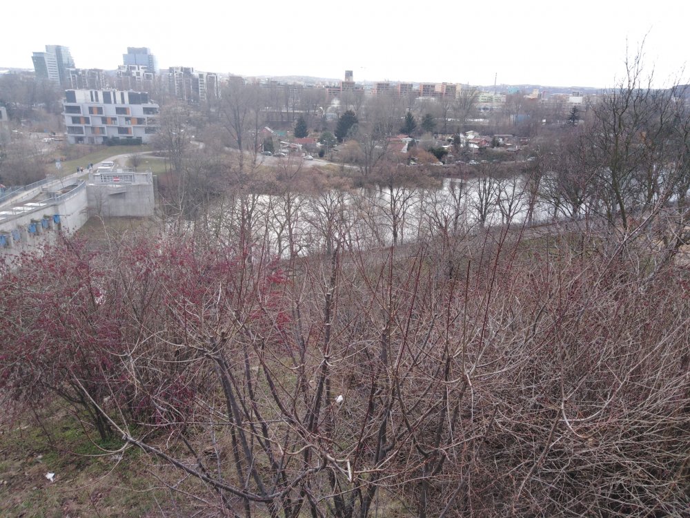 IMG_20210313_152400.jpg