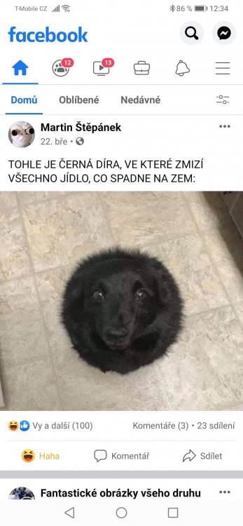 received_273621654235279.jpeg