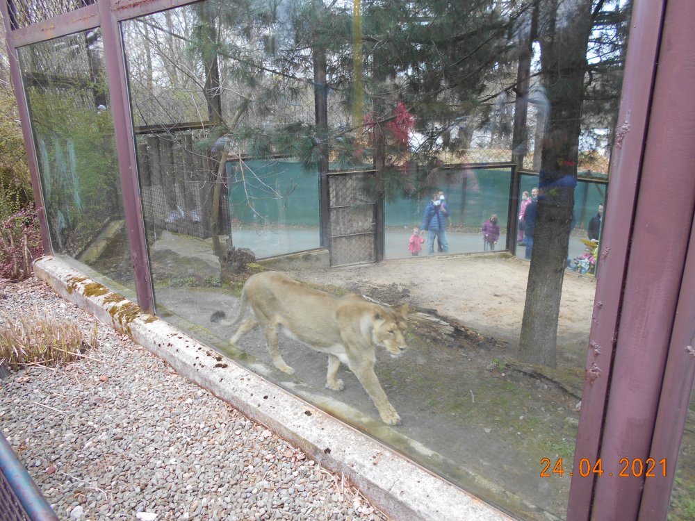 DSCN2662.JPG