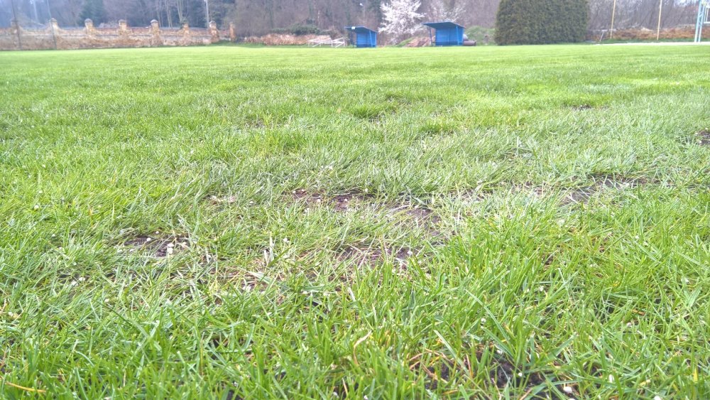 WP_20210418_11_17_43_Pro.jpg