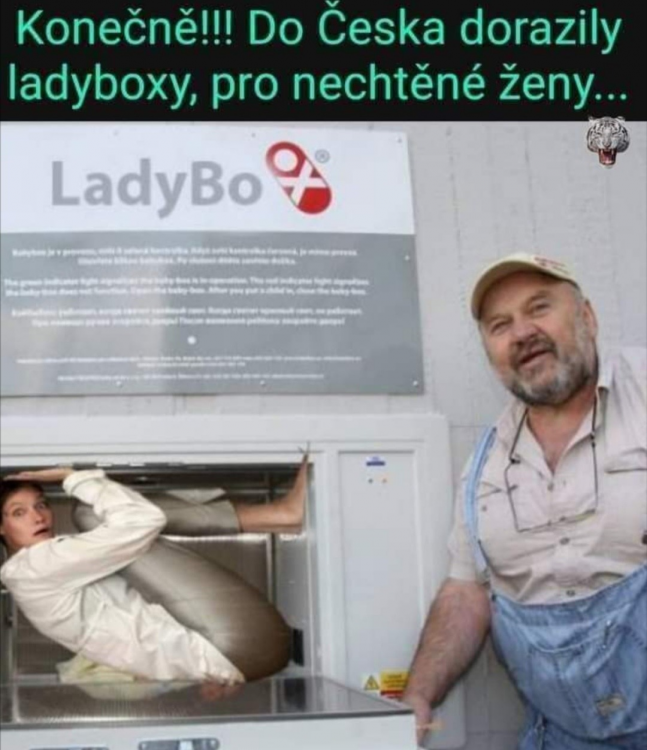obrazek.png
