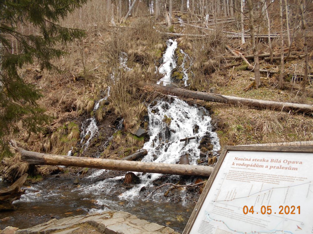 DSCN2724.JPG
