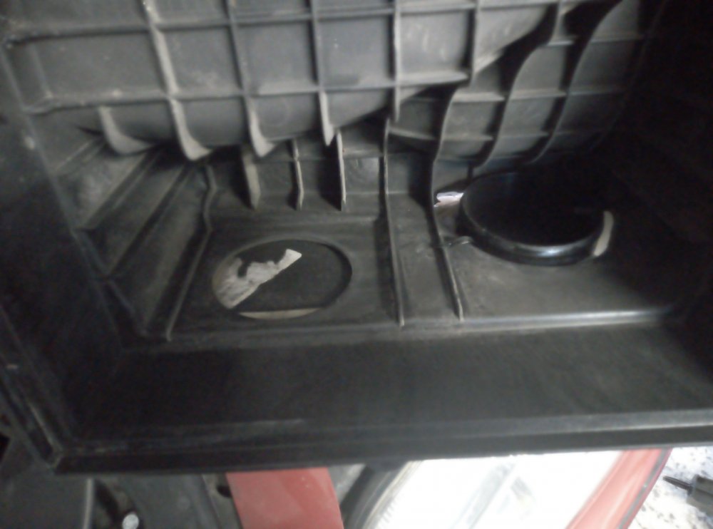 IMG_20210509_160116.jpg