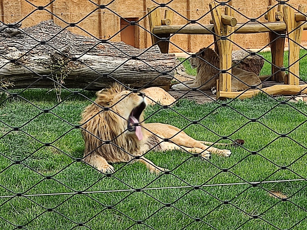 IMG_20210515_125658.jpg