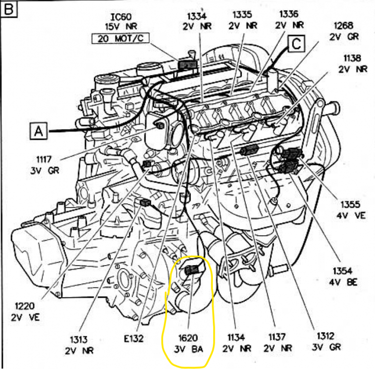image.thumb.png.7b7b20d212cb7db16f511de67bdb8ae5.png