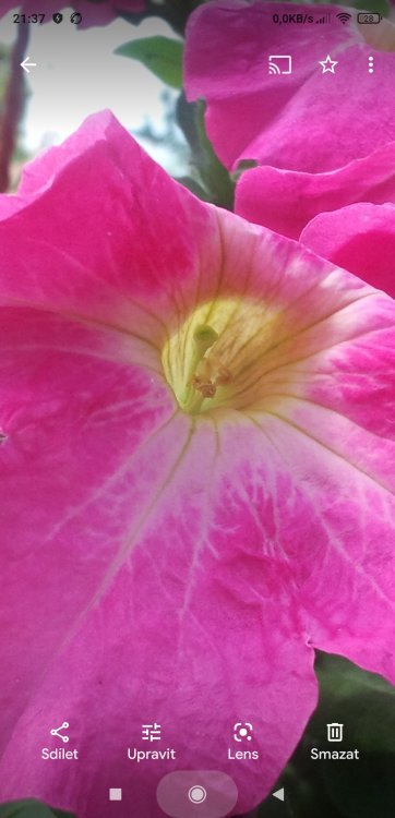 Screenshot_2021-07-02-21-37-10-752_com.google.android.apps.photos.jpg