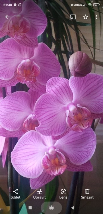 Screenshot_2021-07-02-21-38-59-035_com.google.android.apps.photos.jpg