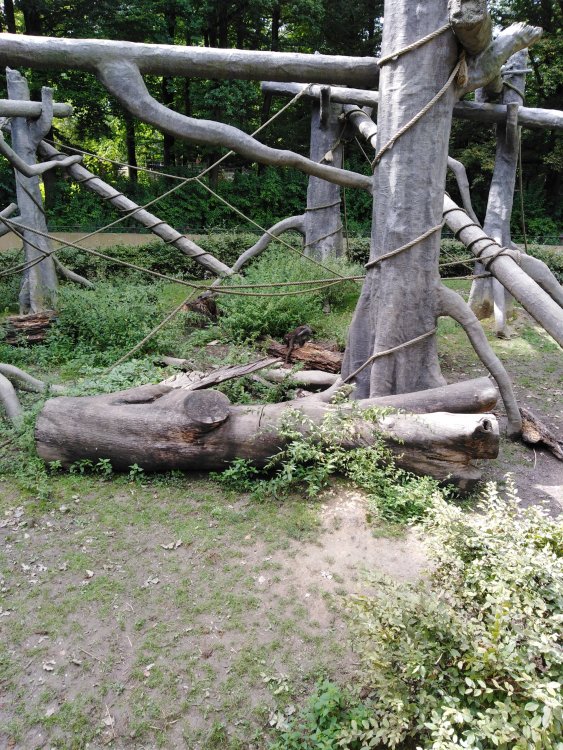 IMG_20210823_135434.jpg