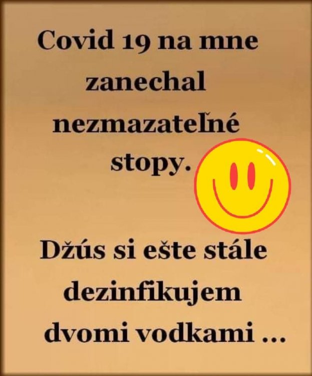 242385914_245775980805432_2179715569915343659_n.thumb.jpg.d4040d97fbc852c1cb1dbc3ff5c80712.jpg