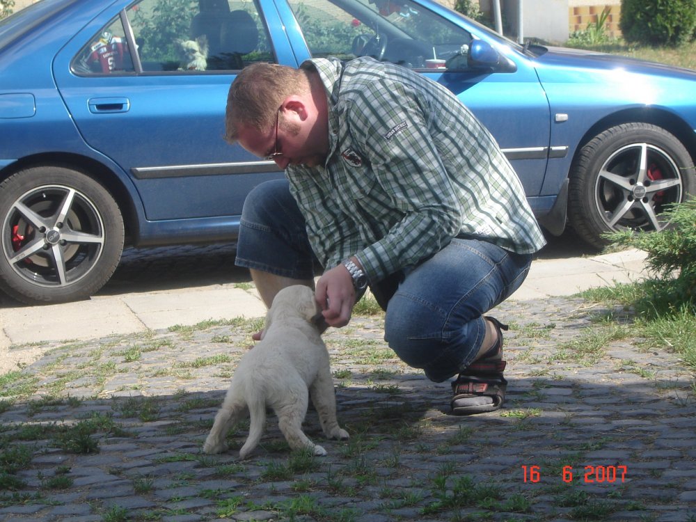 DSC04366.JPG