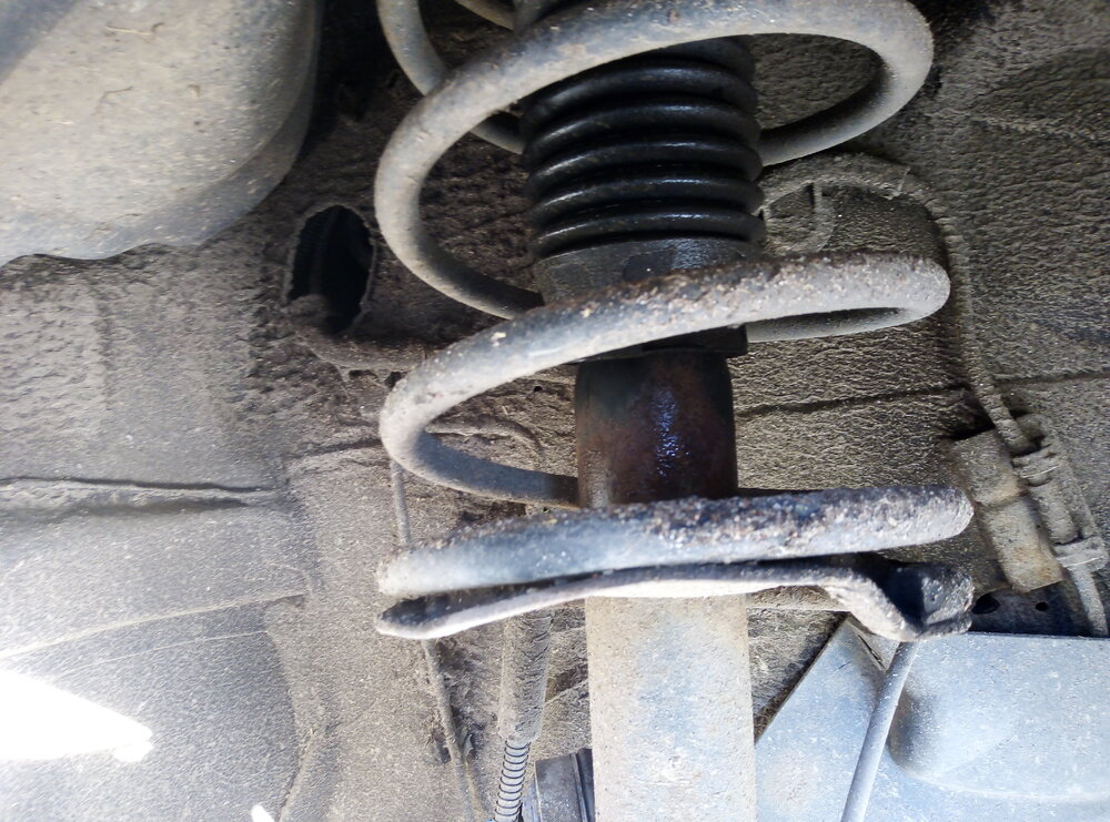 IMG_20211024_103016.jpg