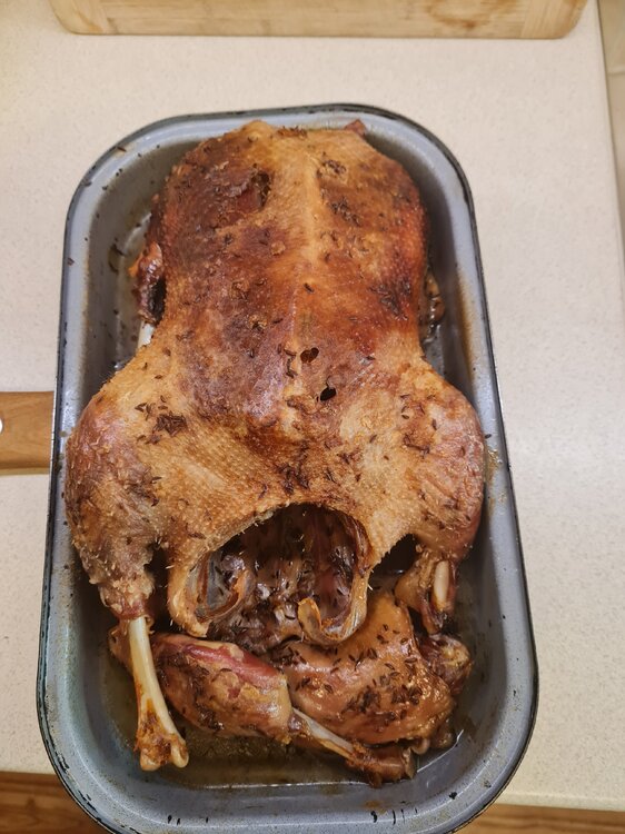 20211114_115713.jpg