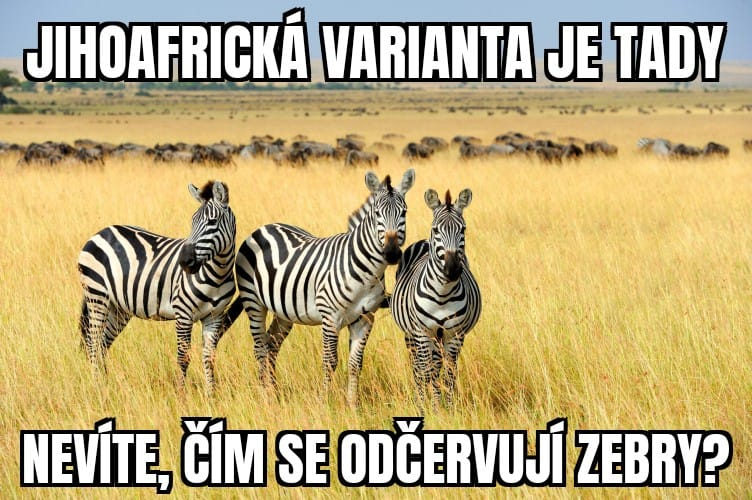 image.png.79778820d630ddec817e5ac75410f0a0.png
