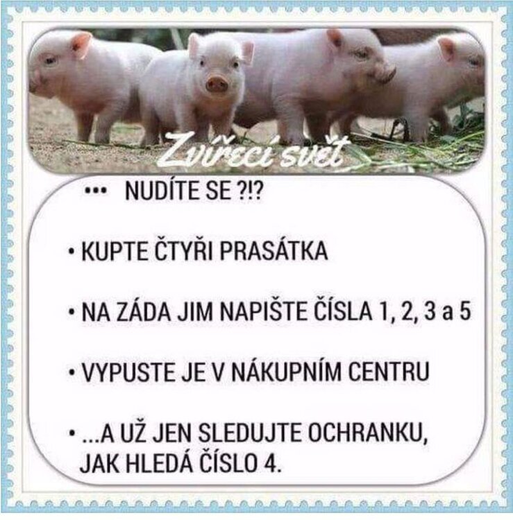 prasatka.jpg