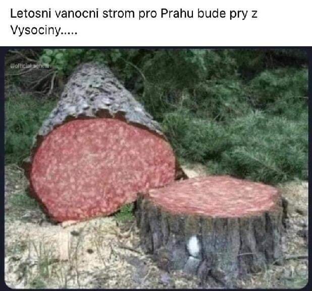 strom.jpg