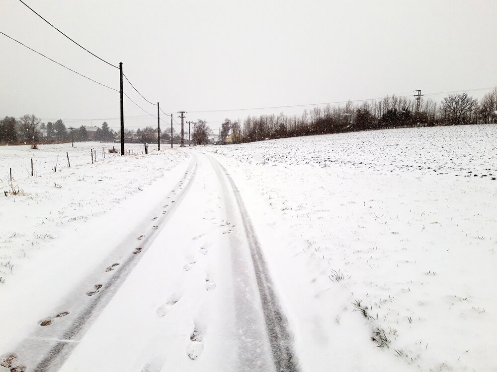 20211225_143831.jpg