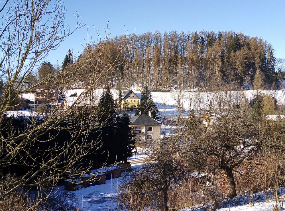 IMG_20211226_112545.jpg