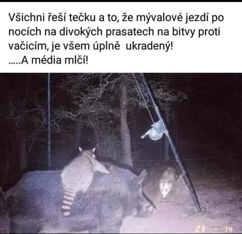 bitva.jpg