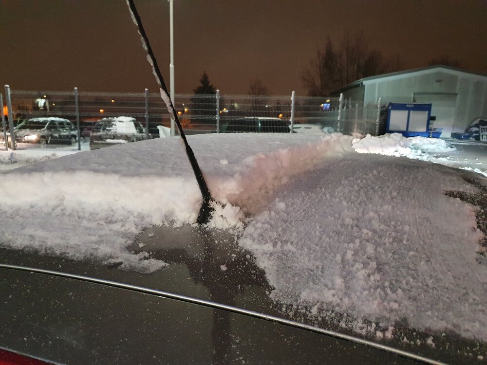 20220122_055240.jpg