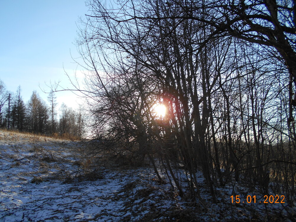 DSCN3295.JPG